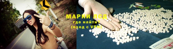 ГАЛЛЮЦИНОГЕННЫЕ ГРИБЫ Белокуриха