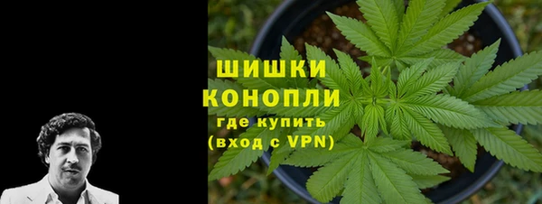ГАЛЛЮЦИНОГЕННЫЕ ГРИБЫ Белокуриха