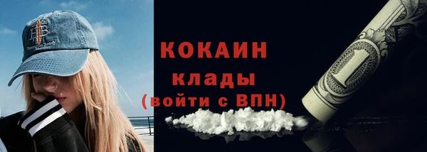 ГАЛЛЮЦИНОГЕННЫЕ ГРИБЫ Белокуриха