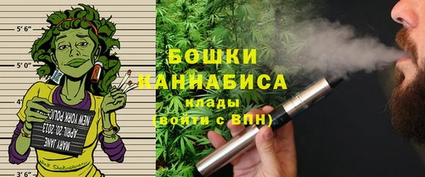 ГАЛЛЮЦИНОГЕННЫЕ ГРИБЫ Белокуриха