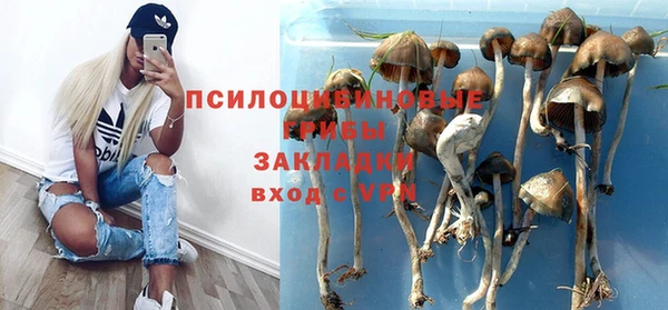 ГАЛЛЮЦИНОГЕННЫЕ ГРИБЫ Белокуриха